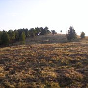 allargamento pascoli (15)